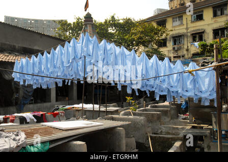 Chemises bleues de raccrocher à sécher à Dhobi Ghat Mahalaxmi open air laverie, Mumbai, Maharashtra, Inde. Banque D'Images