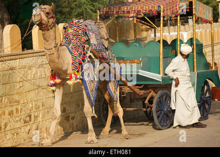 L'homme indien proposant des promenades en chariot de chameau, Gadi Sagar, Gadisar lake, Jaisalmer, Rajasthan, India Banque D'Images