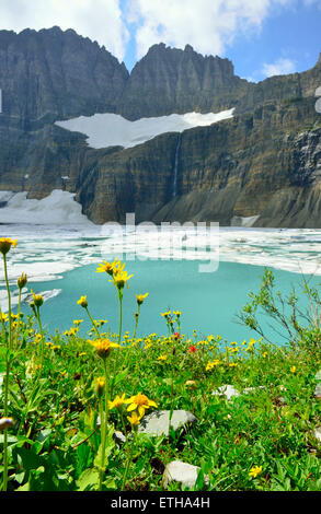 Fleurs sauvages par Grinnell glacier dans de nombreux glaciers, Glacier National Park, Montana en été Banque D'Images