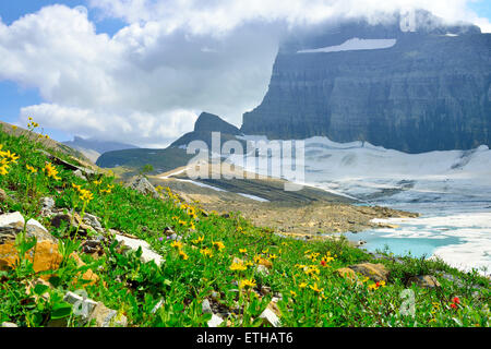 Fleurs sauvages et les nuages par Grinnell glacier dans de nombreux glaciers, Glacier National Park, Montana pendant une journée ensoleillée Banque D'Images