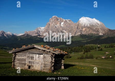 Alp, compatsch Alpe di Siusi, le Tyrol du sud, Italie Banque D'Images