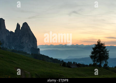 Mont Schlern / Sciliar, Alpe di Siusi, / Alpe di Siusi, le Tyrol du sud, Italie Banque D'Images