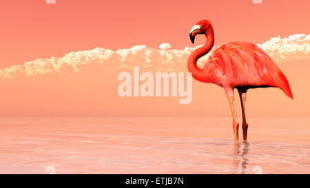 L'un flamand rose debout dans l'eau par de soleil colorés - 3D render Banque D'Images