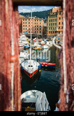 Bateaux de pêche dans le port de pêche, village de pêcheurs de Camogli, Province de Gênes, Ligurie, Riviera Italienne, Levante, Italie, Europe Banque D'Images