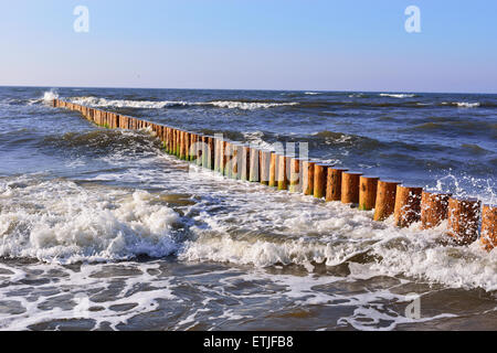 Les disjoncteurs de l'onde en bois sur une côte de la mer Baltique. Banque D'Images