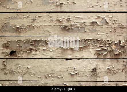 Écaille de peinture plafond en bois Banque D'Images