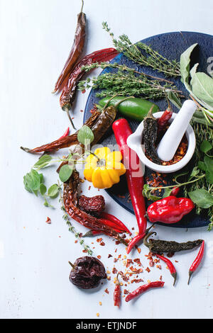 Assortiment de produits frais, secs et flocons Hot Chili Peppers et d'herbes fraîches avec mortier en céramique blanc sur bleu foncé à découper ove Banque D'Images