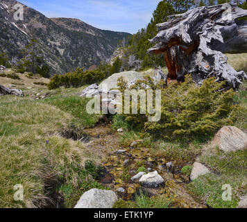 Printemps pentes de la Vallée du Madriu-Perafita-Claror Banque D'Images