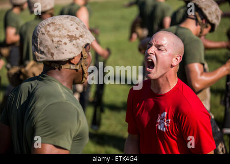 Un instructeur de forage des marines américains qui motive les recrues au cours de la formation d'arts martiaux au Marine Corps Recruter Depot boot camp le 11 juin 2015 à Parris Island, Caroline du Sud. Banque D'Images