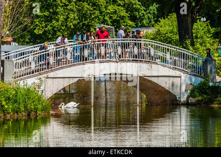 Moscou, Russie. 13 Juin, 2015. Sex week-end à Moscou, Russie. La température est d'environ  +27°C (80,6F). C'est plutôt chaud pour Moscou. Le temps chaud n'empêche pas les touristes de visiter la Place Rouge, mais il n'y a pas beaucoup de personnes dans les rues. Les gens préfèrent être sur la rivière de Moscou ou de la rivière, ou de rester dans l'ombre rafraîchissante. Édition estivale de la Swan Lake Parc Gorky à Moscou. Crédit : Alex's Pictures/Alamy Live News Banque D'Images