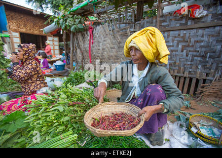 Femme vendant des piments au marché au Myanmar Monywa Banque D'Images