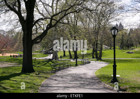 Un chemin venteux dans Central Park, New York City. Banque D'Images