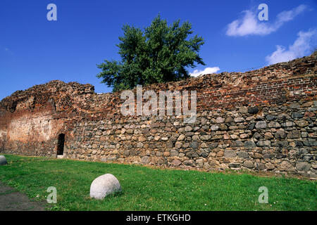 Pologne, Torun, ruines du château des Chevaliers Teutoniques Banque D'Images