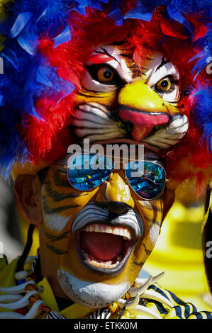 Santiago, Chili. 14 Juin, 2015. Un ventilateur de la Colombie est vu d'avance d'un match du groupe C entre la Colombie et le Venezuela dans la Copa America 2015 à Santiago, Chili, 14 juin, 2015. La Colombie a perdu le match 0-1. Credit : COLPRENSA/Xinhua/Alamy Live News Banque D'Images