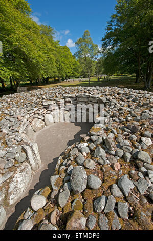 La sépulture néolithique préhistorique à l'Balnuran Clava Cairns, près de Culloden, Inverness-shire. 9862 SCO. Banque D'Images