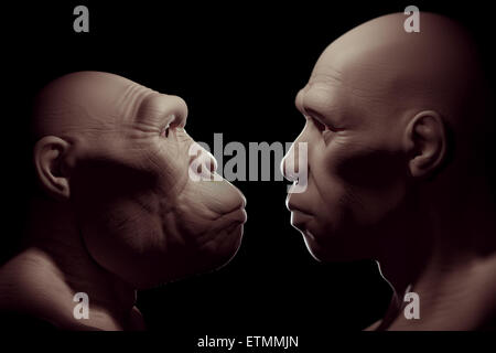 L'inscription d'un Australopithecus face à face avec un Homo Sapiens. L'australopithecus est un genre éteint d'hominidés et au début de l'ancêtre de l'Homo Sapiens. Banque D'Images