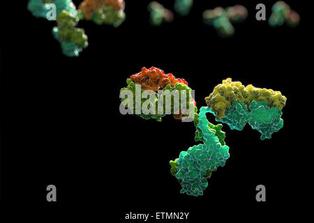 Illustration stylisée d'anticorps en forme de y 1IGT, partie du système immunitaire humain. Banque D'Images