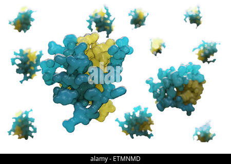 Illustration stylisée de 2HIU l'insuline, une hormone qui provoque l'absorption de glucose, dans le cadre du métabolisme. Banque D'Images