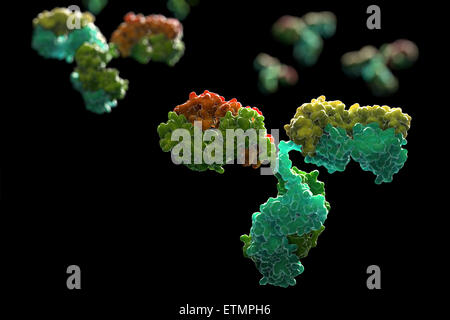 Illustration stylisée d'anticorps en forme de y 1IGT, partie du système immunitaire humain. Banque D'Images