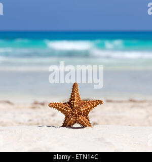 Sur la plage de sable de mer des caraïbes, travel concept Banque D'Images