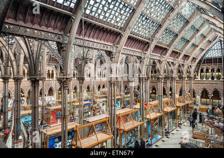 L'Oxford University Museum of Natural History, UK. La salle principale montrant la fonte la fonte colonnes soutenant le toit (1861) Banque D'Images