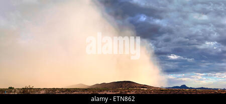 Tempête de sable (haboob), Arizona, USA Banque D'Images