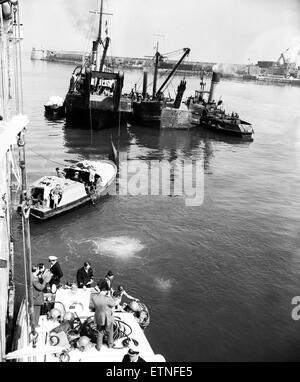 Le sous-marin britannique Sidon a coulé dans le port de Portland après une explosion. Elle était amarrée le long du HMS Maidstone à l'époque. Un frogman retourne à son lancement après une descente à l'épave du sous-marin. 16 juin 1955. Banque D'Images