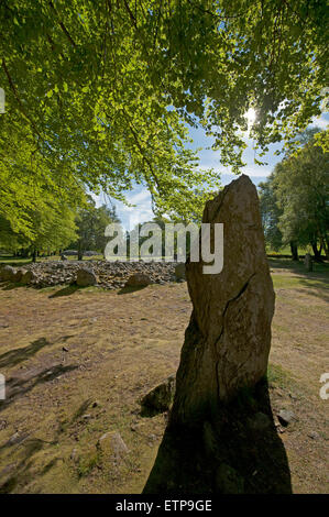 Bien conservé site néolithique écossais de Passage Graves et anneau mégalithes, Clava, Inverness-shire. 9867 SCO Banque D'Images