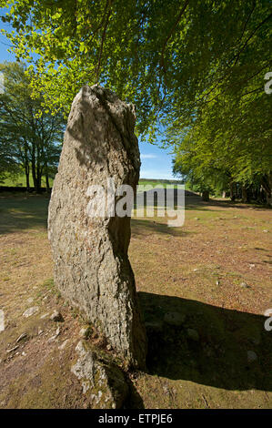 Bien conservé site néolithique écossais de Passage Graves et anneau mégalithes, Clava, Inverness-shire. 9878. Banque D'Images