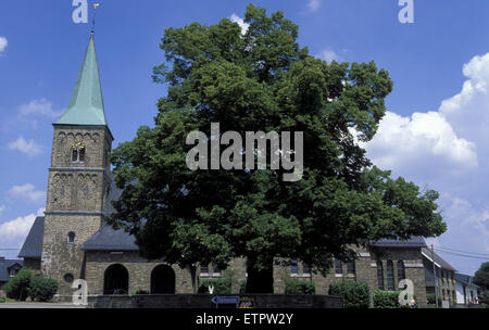 BEL, la Belgique, l'Est des Ardennes, Buetgenbach-Weywertz, Saint Michaels church, 300 ans de tilleul. BEL, Belgien, Ostbelgien, Buetge Banque D'Images