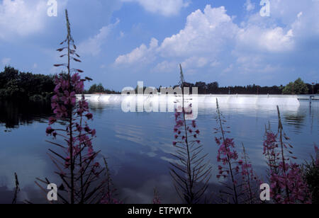 BEL, la Belgique, l'Est des Ardennes, les baies de lac de Buetgenbach. BEL, Belgien, Ostbelgien, die von Talsperre Buetgenbach. Banque D'Images