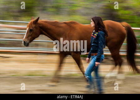 27 mai 2015 - San Juan Capistrano, Orange County, Californie, USA - Comté d'Orange€" SARAH SMITH conclut son traitement thérapie par companion walking avec Madonna. Afin de companion à pied avec les chevaux vous avez besoin d'avoir un lien fort avec l'animal qui a été cultivé hors de présence, la confiance et le leadership. .. "J'étais à l'incrédulité ! Je ne pensais pas que je pourrais avoir un lien émotionnel avec un horseâ€™Companion walking sentais super bien, je me sentais comme j'ai fait un ami, il y avait un lien. Je suis entrée à l'espace sur Madonna qui m'a représenté à l'avenir, j'ai pu toucher et voir qui je voulais être Banque D'Images