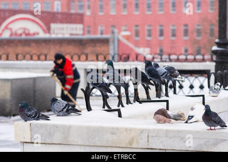 Pigeons sur un parapet de pont pour piétons Patriarche voir comment travailleur méconnaissable supprime du pont de neige Banque D'Images