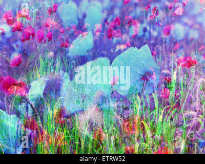 Montage floral Banque D'Images