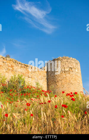 Medievil château sur la colline parlementaire à Aguilar de Campoo, province de Palencia, Castille et Leon, Espagne Banque D'Images