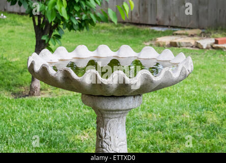 Un bain d'oiseaux d'eau dans un milieu urbain au printemps. USA. Banque D'Images