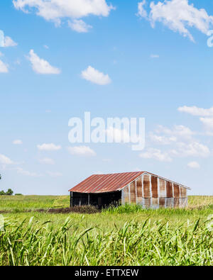 Un vieux hangar d'étain utilisé pour le bétail dans les régions rurales de l'Oklahoma. Banque D'Images