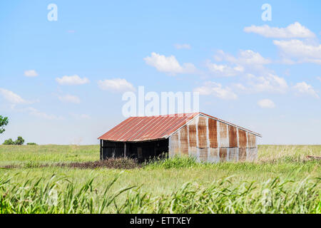 Un vieux hangar d'étain utilisé pour le bétail ou l'entreposage du foin dans les régions rurales de l'Oklahoma. USA, États-Unis, U.S.A., United States Banque D'Images
