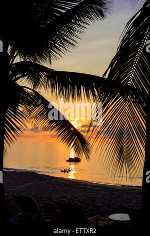 Le soleil se couche à travers les cocotiers sur la mer des Caraïbes au large de Sainte Croix, îles Vierges américaines. Banque D'Images