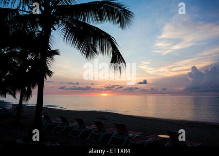 Le soleil se couche à travers les cocotiers sur la mer des Caraïbes au large de Sainte Croix, îles Vierges américaines. Banque D'Images