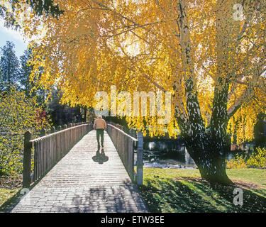 Un homme âgé tout seul marche à travers un pont dans l'automne. Banque D'Images