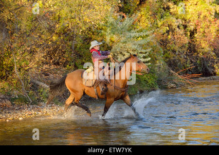 USA, Wyoming, jeune cheval de cow-boy sur son cheval river Banque D'Images