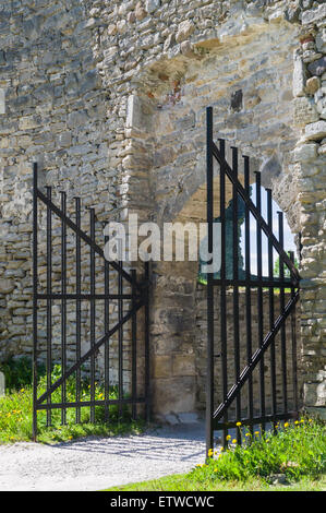 Mur du château médiéval et porte de fer Banque D'Images