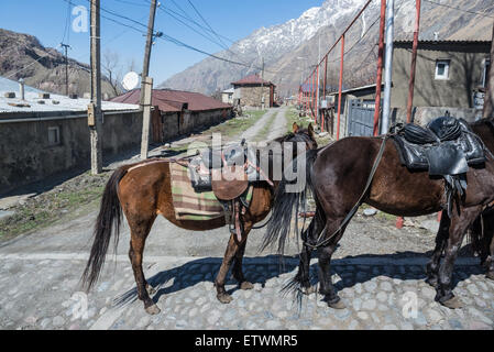 Les chevaux dans la ville Stepantsminda (Kazbegi) autrefois dans la région de Mtskheta-Mtianeti, Géorgie Banque D'Images