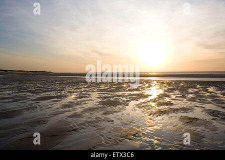 L'Europe, Pays-Bas, Zeeland, coucher du soleil à la plage entre Oostkapelle et Domburg sur la presqu'île Walcheren. Europa, Niederlan Banque D'Images