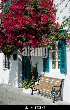 Bougainvilla rouge dans une rue à Mandraki village, île de Nisyros, Dodécanèse, Grèce Banque D'Images