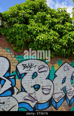 Le Graffiti, canal de navigation de la rivière Lee, Londres, Royaume-Uni Banque D'Images