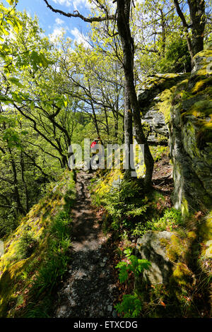 Strasbourg, France, randonnée pédestre le long de la piste sauvage dans le parc national de l'Eifel Banque D'Images