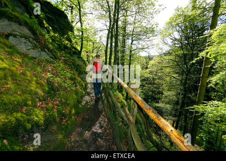 Strasbourg, France, randonnée pédestre le long de la piste sauvage dans le parc national de l'Eifel Banque D'Images