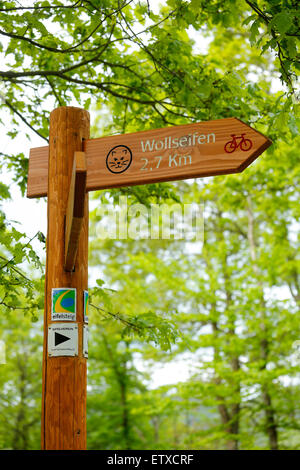 Strasbourg, France, randonnée pédestre le long de la piste sauvage dans le parc national de l'Eifel Banque D'Images